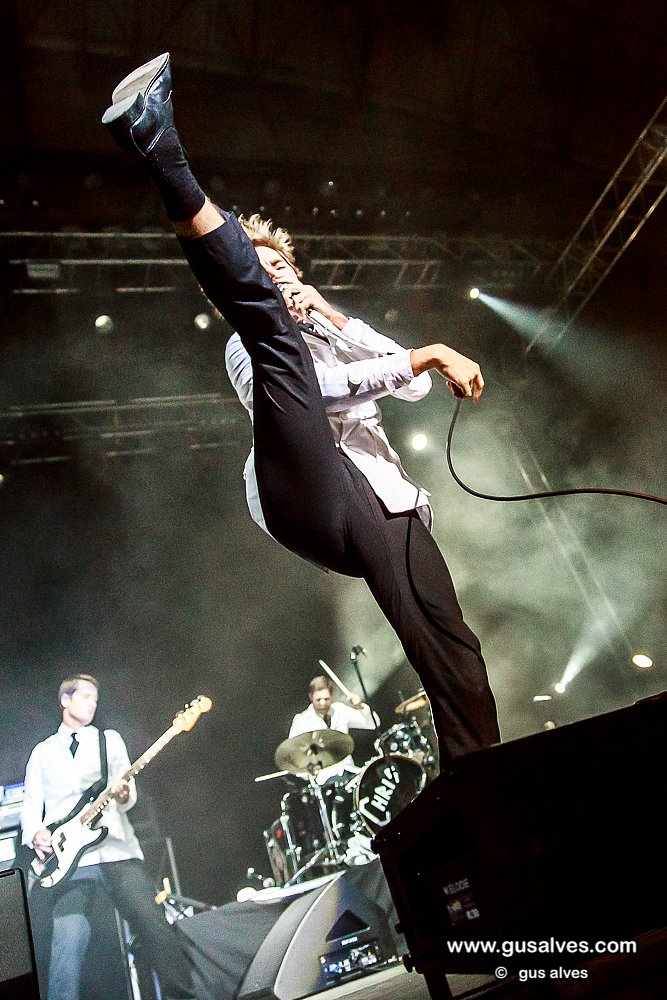 The Hives