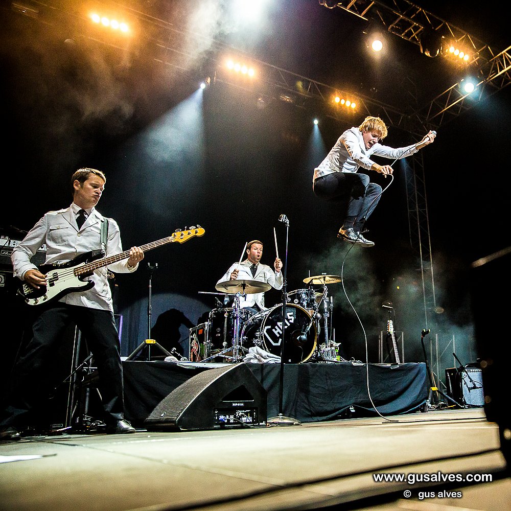 The Hives