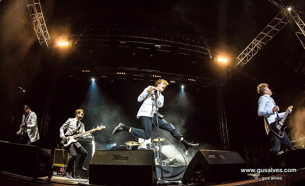 The Hives