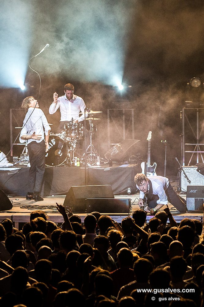 The Hives