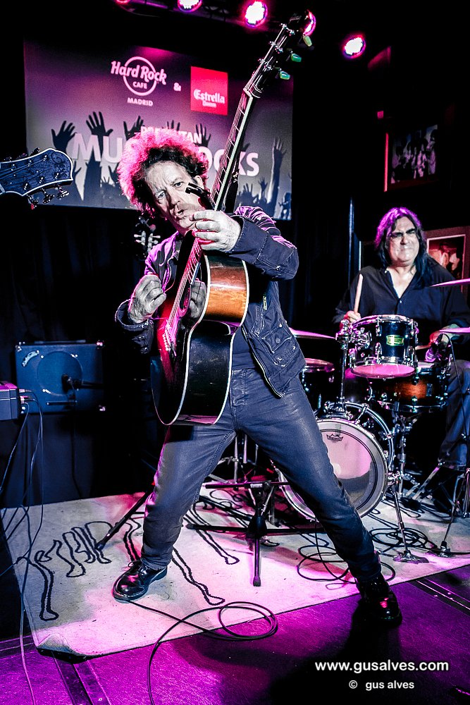 Willie Nile